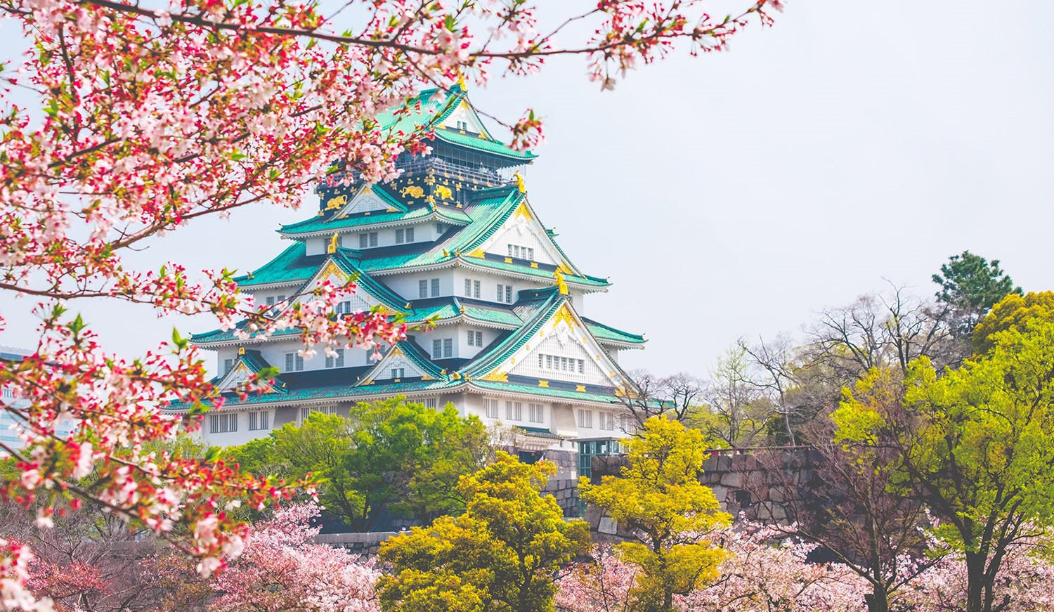 Hành trình thú vị đến Lâu đài Osaka – Ngọc nguyên bảo của Nhật Bản | 5giay
